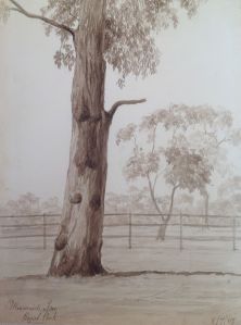 Royal Park Picture Five