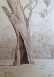 Royal Park Picture Four