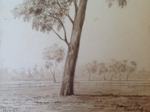 Royal Park Picture Nine