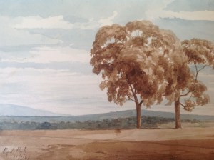 Royal Park Picture One