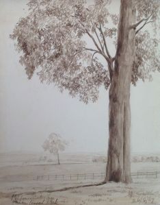 Royal Park Picture Seven