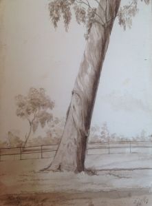 Royal Park Picture Six