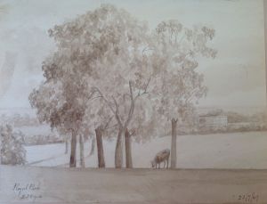 Royal Park Picture Three