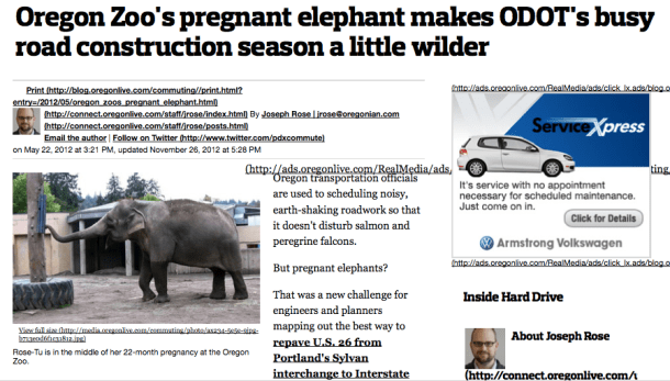 oregonzoopregnant