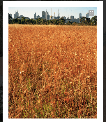 Screen Shot 2014-03-11 at 3.20.34 PM